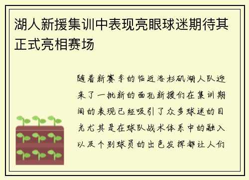 湖人新援集训中表现亮眼球迷期待其正式亮相赛场